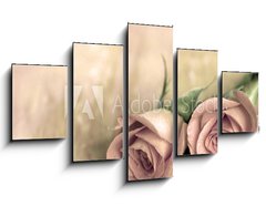 Obraz ptidln 5D - 125 x 70 cm F_GS13808846 - zwei rosen