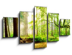 Obraz 5D ptidln - 125 x 70 cm F_GS139969469 - Idyllischer Wald mit Bach bei Sonnenaufgang