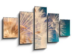 Obraz 5D ptidln - 125 x 70 cm F_GS143134951 - white dandelion flower with seeds in springtime in blue turquoise abstract backgrouds