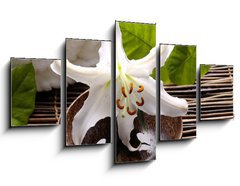 Obraz ptidln 5D - 125 x 70 cm F_GS14431591 - Spa composition of white madonna lily