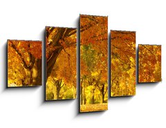 Obraz   autumn scene, 125 x 70 cm