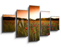 Obraz ptidln 5D - 125 x 70 cm F_GS14724236 - poppies field