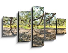 Obraz 5D ptidln - 125 x 70 cm F_GS147965977 - Panoramic view of Oak Alley Plantation, Louisiana
