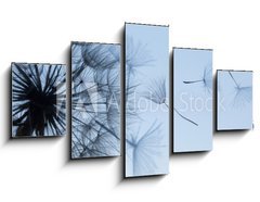 Obraz 5D ptidln - 125 x 70 cm F_GS149304809 - Dandelion silhouette fluffy flower on blue sunset sky