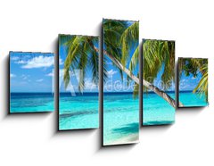 Obraz   coco palms on tropical paradise beach with turquoise blue water and blue sky, 125 x 70 cm