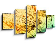 Obraz 5D ptidln - 125 x 70 cm F_GS153111950 -  dandelion flower background
