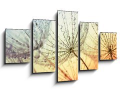 Obraz    dandelion flower background, 125 x 70 cm