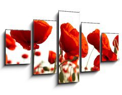 Obraz ptidln 5D - 125 x 70 cm F_GS15661421 - Red poppies