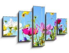 Obraz 5D ptidln - 125 x 70 cm F_GS157514845 - Blumenwiese