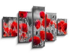 Obraz 5D ptidln - 125 x 70 cm F_GS158374540 - red poppies, black and white