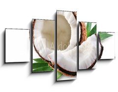 Obraz   coconut on a white background, 125 x 70 cm