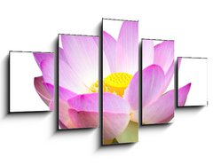 Obraz ptidln 5D - 125 x 70 cm F_GS15918098 - Lotus