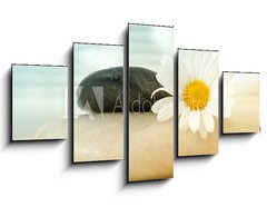 Obraz ptidln 5D - 125 x 70 cm F_GS16097577 - Spa