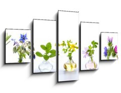 Obraz 5D ptidln - 125 x 70 cm F_GS166862791 - Herbs for alternative medicine, natural cosmetics and kitchen