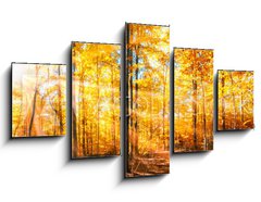 Obraz 5D ptidln - 125 x 70 cm F_GS168212681 - Wald Panorama im goldenen Herbst