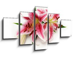 Obraz ptidln 5D - 125 x 70 cm F_GS16841573 - Lily