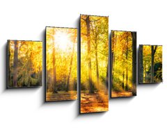Obraz 5D ptidln - 125 x 70 cm F_GS169049384 - Buntes Herbstwald Panorama im Sonnenlicht - Panorama Buntes Herbstwald im Sonnenlicht