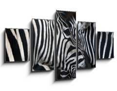 Obraz   zebras, 125 x 70 cm