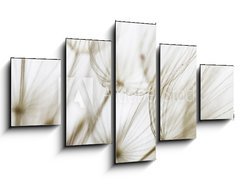 Obraz 5D ptidln - 125 x 70 cm F_GS180759298 - Dandelion seed closeup