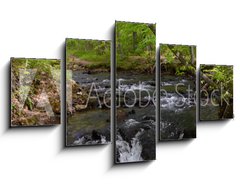 Obraz 5D ptidln - 125 x 70 cm F_GS182860867 - Whitewater Stream