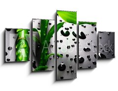 Obraz 5D ptidln - 125 x 70 cm F_GS18901252 - Bamboo