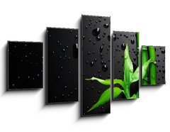 Obraz   Bamboo over Black, 125 x 70 cm