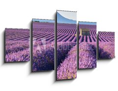 Obraz 5D ptidln - 125 x 70 cm F_GS195185269 - Lavender fields in Plateau de Valensole with a stone house in Summer. Alpes de Haute Provence, PACA Region, France