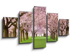 Obraz 5D ptidln - 125 x 70 cm F_GS19656458 - Kirschgarten in voller Bl te