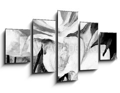 Obraz 5D pětidílný - 125 x 70 cm F_GS197308949 - lbild: Weie Rosen