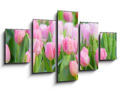 Obraz 5D ptidln - 125 x 70 cm F_GS197459924 - Tulip Flower in the Garden.,Nature background.