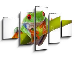 Obraz 5D ptidln - 125 x 70 cm F_GS19746913 - Bamboo Frog - Bambusov ba