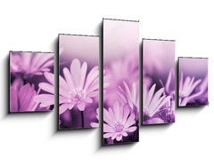 Obraz 5D ptidln - 125 x 70 cm F_GS19781322 - Pink floral background