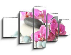 Obraz ptidln 5D - 125 x 70 cm F_GS19964009 - Orchid laying on stones
