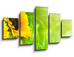 Obraz   nature et nergie  fleurs de tournesols sur fond vert, 125 x 70 cm