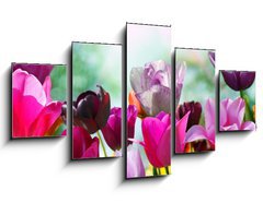 Obraz   Beautiful spring flowers, tulips, 125 x 70 cm