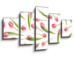 Obraz 5D ptidln - 125 x 70 cm F_GS205206437 - Pink tulip pattern on the white bacjkground.