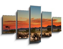 Obraz   Herd of elephants in african savanna, 125 x 70 cm