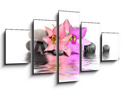 Obraz   Orchidee et Beaute, 125 x 70 cm