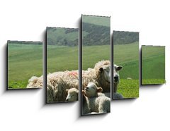 Obraz ptidln 5D - 125 x 70 cm F_GS21163445 - Ewe and lambs