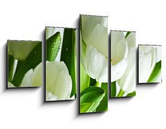 Obraz ptidln 5D - 125 x 70 cm F_GS21581948 - White Tulips - Bl tulipny