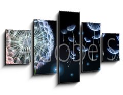 Obraz 5D ptidln - 125 x 70 cm F_GS220799750 - Pusteblumen und Glhwrmchen