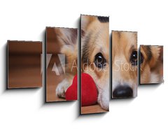 Obraz 5D ptidln - 125 x 70 cm F_GS222488187 - A dog with a red heart. Valentine`s Day.