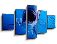 Obraz 5D ptidln - 125 x 70 cm F_GS222972216 - 3d rendered illustration of a great white shark