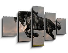 Obraz ptidln 5D - 125 x 70 cm F_GS22600957 - black friesian stallion gallop in sunset - ern frsk hebec cval v zpadu slunce