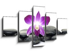 Obraz   Purple orchid and black stones, 125 x 70 cm