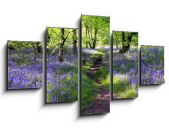 Obraz 5D ptidln - 125 x 70 cm F_GS23130044 - Blue bells forest - Modr zvonov les