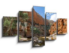 Obraz pětidílný 5D - 125 x 70 cm F_GS23223038 - View of Ormiston Gorge, Macdonnell Ranges, Australia