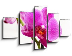 Obraz 5D ptidln - 125 x 70 cm F_GS23400240 - orchid