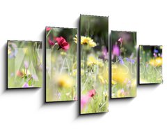 Obraz 5D ptidln - 125 x 70 cm F_GS236066014 - wildblumenwiese natur banner pastell