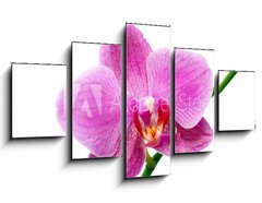 Obraz 5D ptidln - 125 x 70 cm F_GS23735286 - 